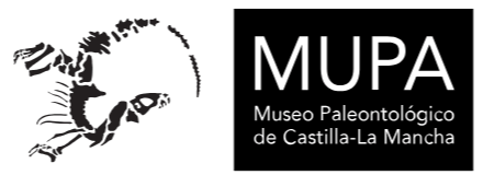 Logotipos colaboradores